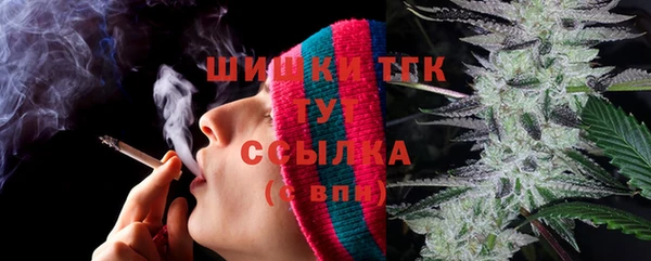 молекула духа Дмитриев