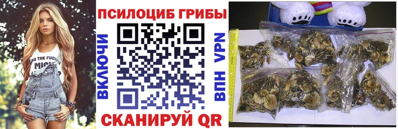 Псилоцибиновые грибы мухоморы  mega как зайти  Нефтеюганск 